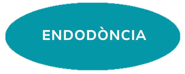 ENDODÒNCIA